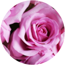 Mira Belle profile picture